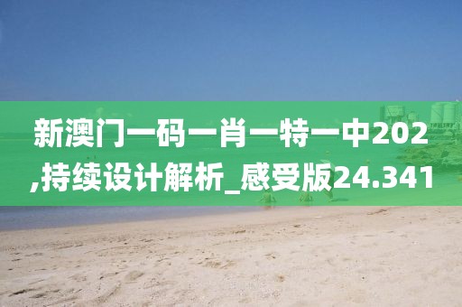 新澳门一码一肖一特一中202,持续设计解析_感受版24.341