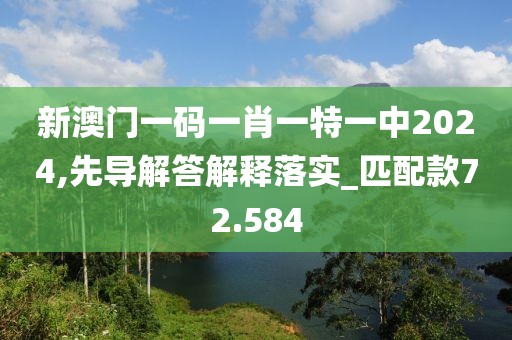 新澳门一码一肖一特一中2024,先导解答解释落实_匹配款72.584