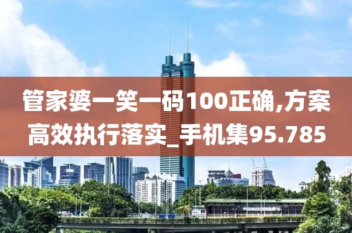 管家婆一笑一码100正确,方案高效执行落实_手机集95.785