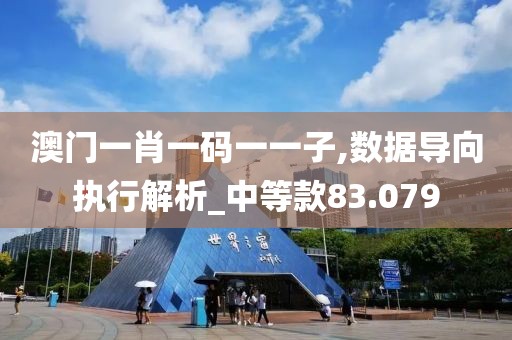 澳门一肖一码一一子,数据导向执行解析_中等款83.079