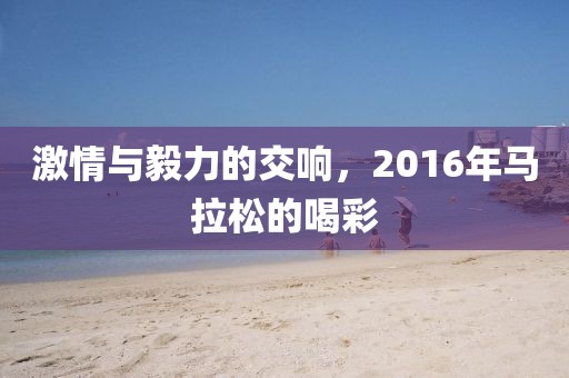 激情与毅力的交响，2016年马拉松的喝彩