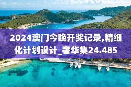 2024澳门今晚开奖记录,精细化计划设计_奢华集24.485