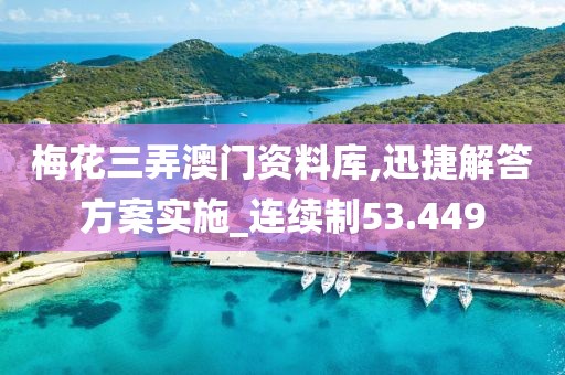 梅花三弄澳门资料库,迅捷解答方案实施_连续制53.449