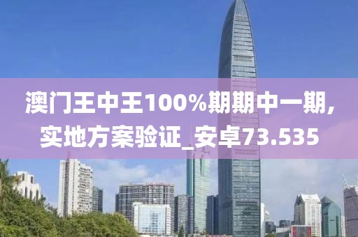 澳门王中王100%期期中一期,实地方案验证_安卓73.535