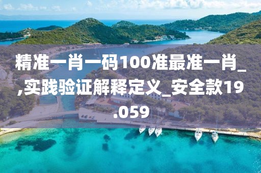 精准一肖一码100准最准一肖_,实践验证解释定义_安全款19.059
