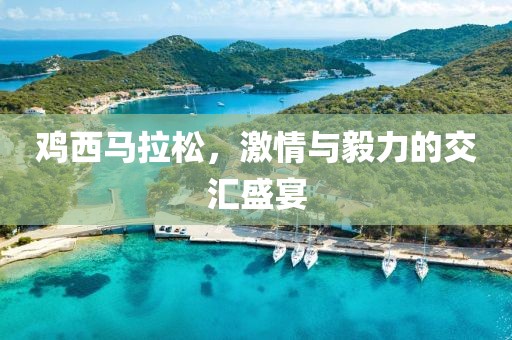 鸡西马拉松，激情与毅力的交汇盛宴