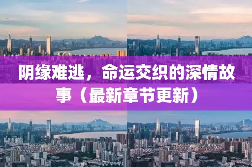 2024年11月 第1864页