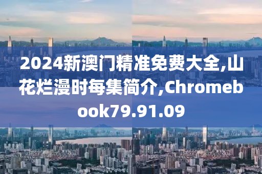 2024新澳门精准免费大全,山花烂漫时每集简介,Chromebook79.91.09