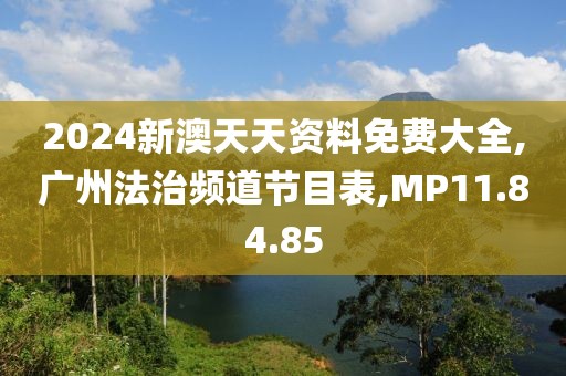 2024新澳天天资料免费大全,广州法治频道节目表,MP11.84.85