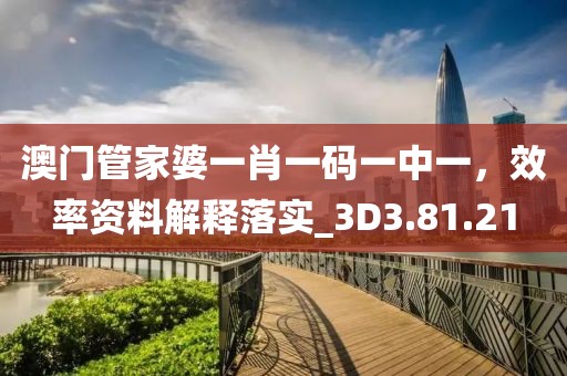 澳门管家婆一肖一码一中一，效率资料解释落实_3D3.81.21