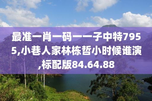 最准一肖一码一一子中特7955,小巷人家林栋哲小时候谁演,标配版84.64.88