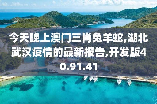 今天晚上澳门三肖兔羊蛇,湖北武汉疫情的最新报告,开发版40.91.41