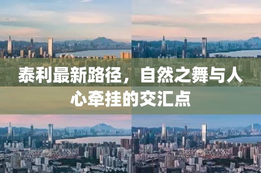 泰利最新路径，自然之舞与人心牵挂的交汇点