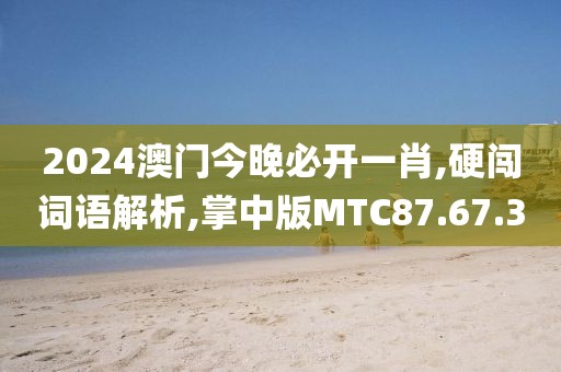 2024澳门今晚必开一肖,硬闯词语解析,掌中版MTC87.67.3