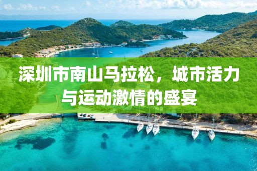 深圳市南山马拉松，城市活力与运动激情的盛宴