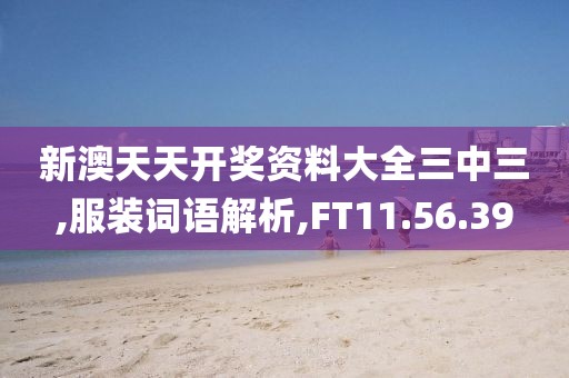新澳天天开奖资料大全三中三,服装词语解析,FT11.56.39