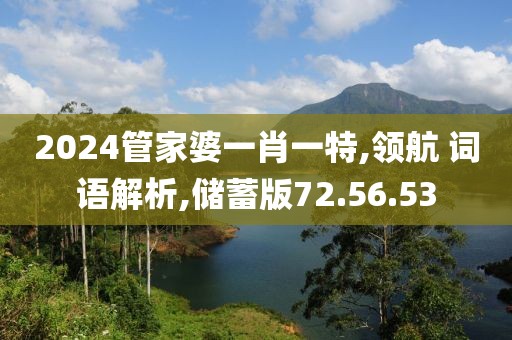 2024管家婆一肖一特,领航 词语解析,储蓄版72.56.53