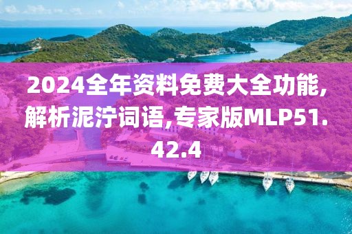 2024全年资料免费大全功能,解析泥泞词语,专家版MLP51.42.4