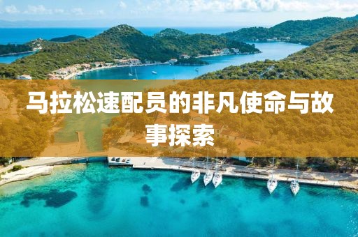 马拉松速配员的非凡使命与故事探索