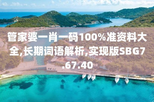 管家婆一肖一码100%准资料大全,长期词语解析,实现版SBG7.67.40