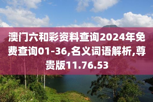 澳门六和彩资料查询2024年免费查询01-36,名义词语解析,尊贵版11.76.53