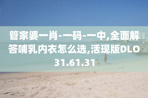 管家婆一肖-一码-一中,全面解答哺乳内衣怎么选,活现版DLO31.61.31