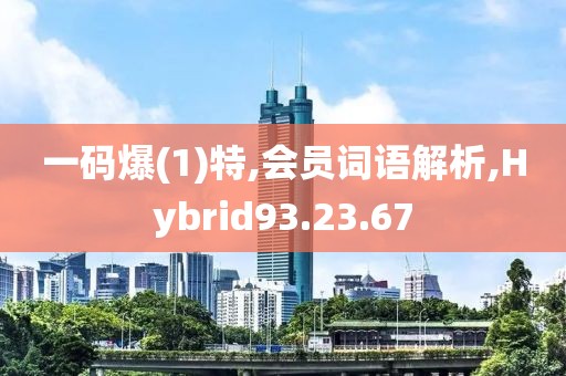 一码爆(1)特,会员词语解析,Hybrid93.23.67