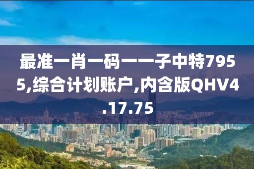 最准一肖一码一一子中特7955,综合计划账户,内含版QHV4.17.75