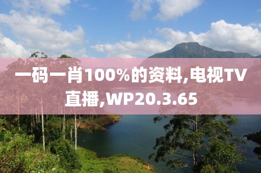 一码一肖100%的资料,电视TV直播,WP20.3.65