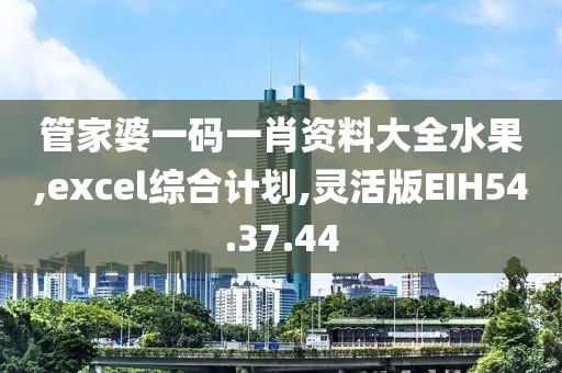 管家婆一码一肖资料大全水果,excel综合计划,灵活版EIH54.37.44