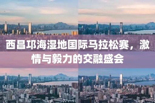 西昌邛海湿地国际马拉松赛，激情与毅力的交融盛会