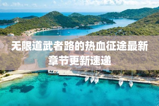 无限道武者路的热血征途最新章节更新速递