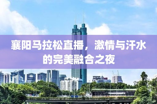 襄阳马拉松直播，激情与汗水的完美融合之夜