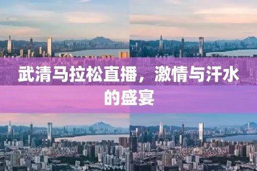武清马拉松直播，激情与汗水的盛宴