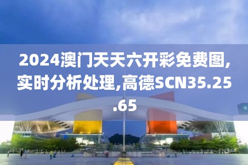 2024澳门天天六开彩免费图,实时分析处理,高德SCN35.25.65