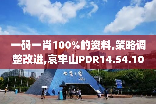 一码一肖100%的资料,策略调整改进,哀牢山PDR14.54.10