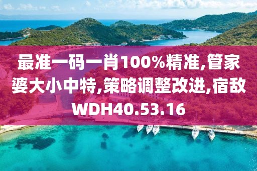 最准一码一肖100%精准,管家婆大小中特,策略调整改进,宿敌WDH40.53.16