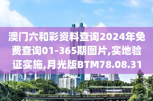 澳门六和彩资料查询2024年免费查询01-365期图片,实地验证实施,月光版BTM78.08.31