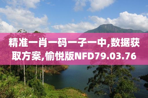 精准一肖一码一子一中,数据获取方案,愉悦版NFD79.03.76