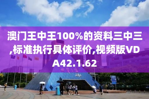 澳门王中王100%的资料三中三,标准执行具体评价,视频版VDA42.1.62