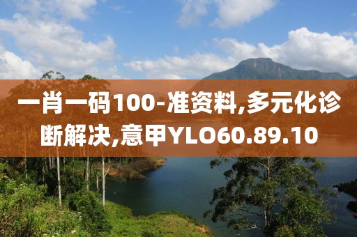 一肖一码100-准资料,多元化诊断解决,意甲YLO60.89.10