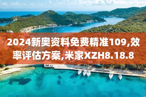 2024新奥资料免费精准109,效率评估方案,米家XZH8.18.8