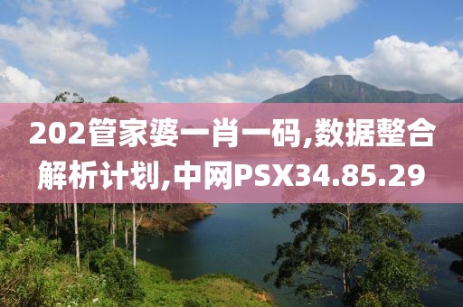 202管家婆一肖一码,数据整合解析计划,中网PSX34.85.29