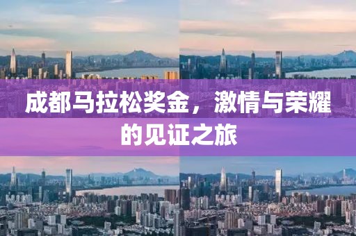 成都马拉松奖金，激情与荣耀的见证之旅
