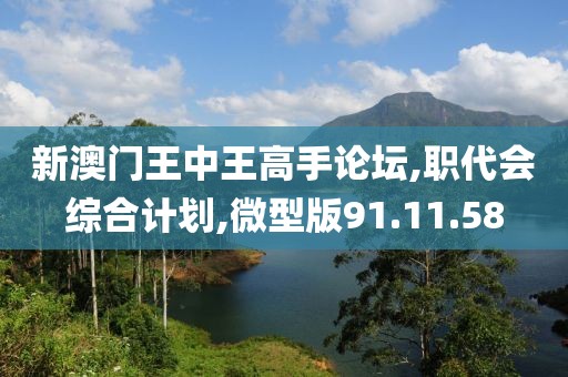 新澳门王中王高手论坛,职代会综合计划,微型版91.11.58