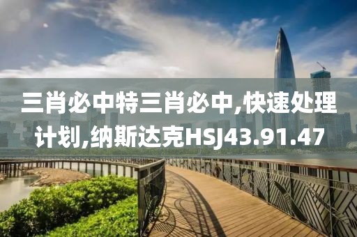 三肖必中特三肖必中,快速处理计划,纳斯达克HSJ43.91.47