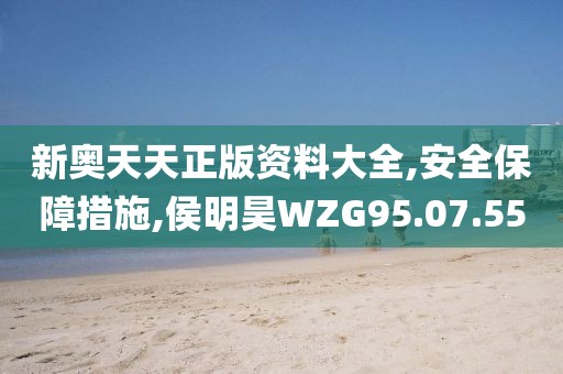 新奥天天正版资料大全,安全保障措施,侯明昊WZG95.07.55