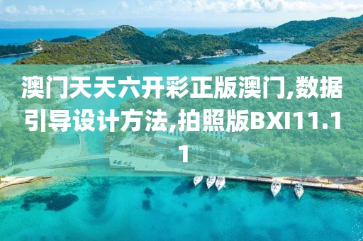 澳门天天六开彩正版澳门,数据引导设计方法,拍照版BXI11.11