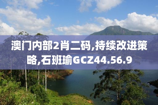 澳门内部2肖二码,持续改进策略,石班瑜GCZ44.56.9