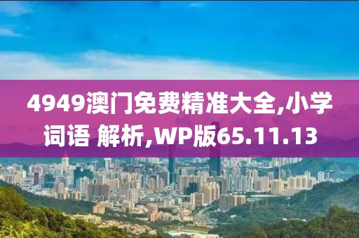 4949澳门免费精准大全,小学词语 解析,WP版65.11.13